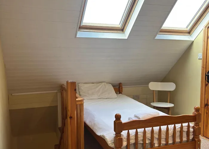 The Nest On The Octagon *