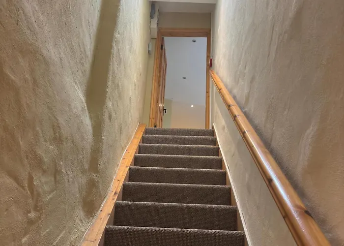 The Nest On The Octagon Westport